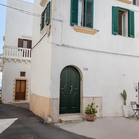 Lunaspina 갈리폴리